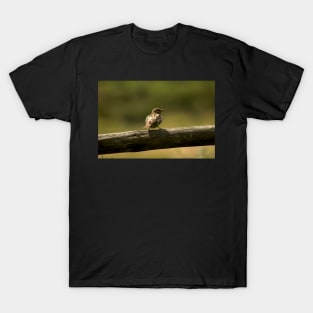 Single little bird on a fence, animal photography T-Shirt